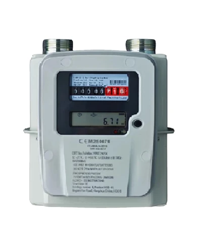Compteur de gaz à membrane résidentiel D-GR1